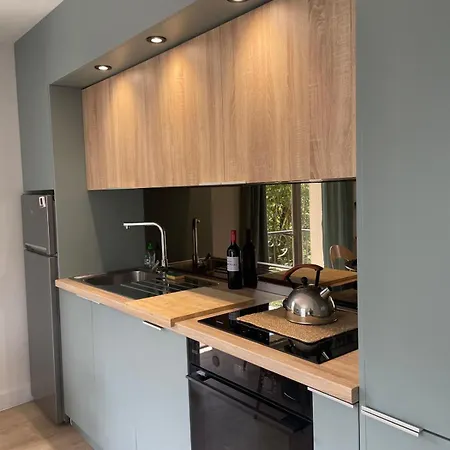 Un De Luchon, Avec Vue Sur Les Pyrenees Bagneres-de-Luchon