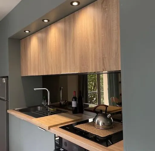 Un De Luchon, Avec Vue Sur Les Pyrenees アパート *